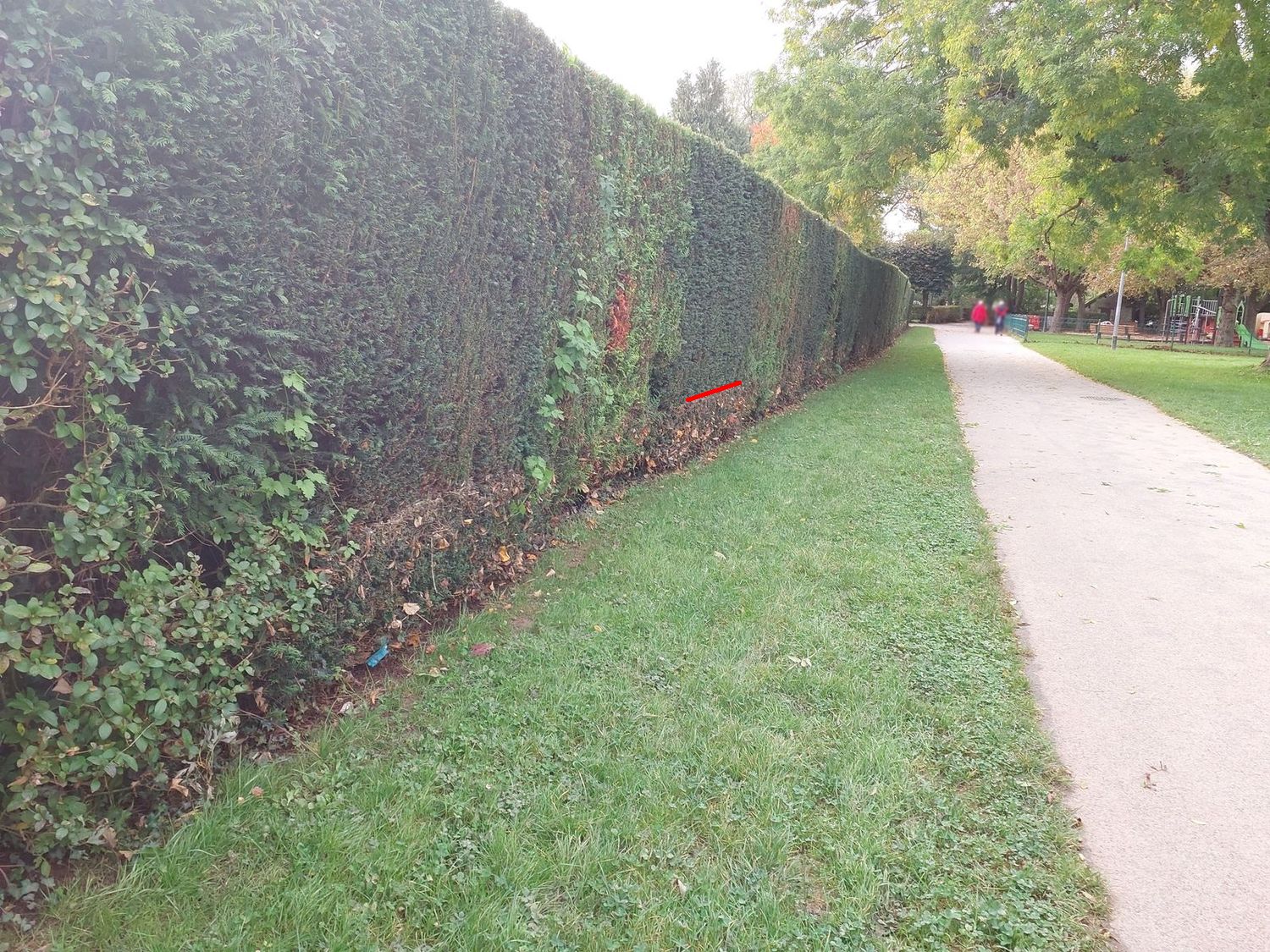 Photo du site – SPC SMYL
