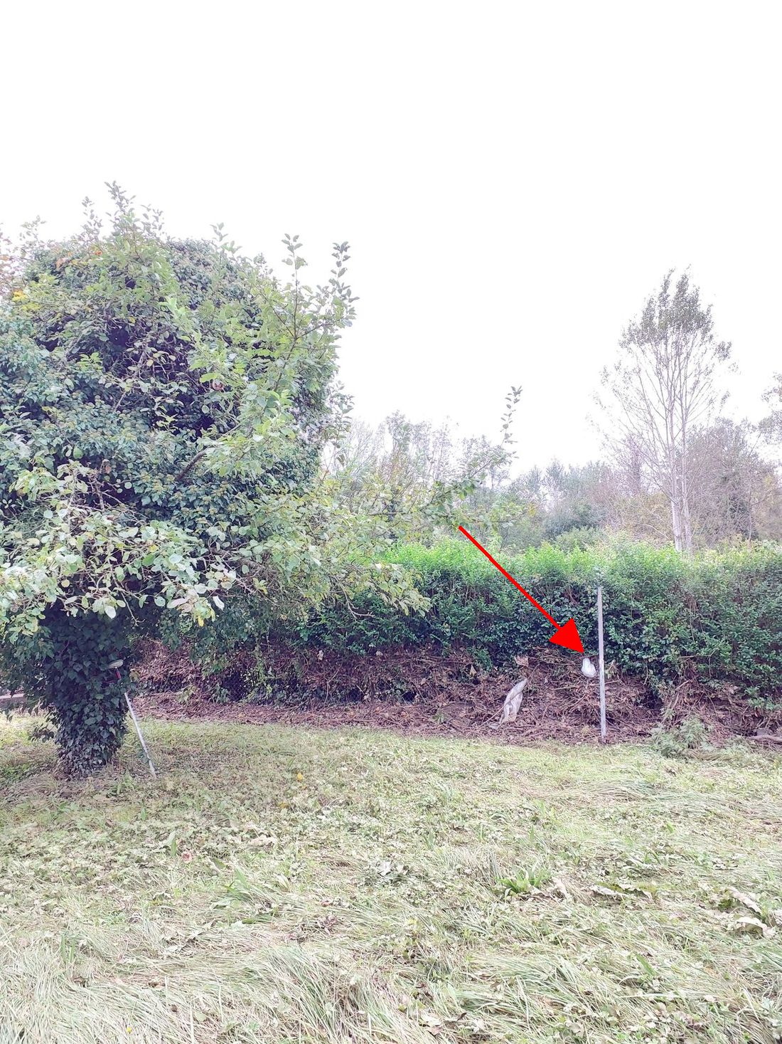 Photo du site – SPC SMYL