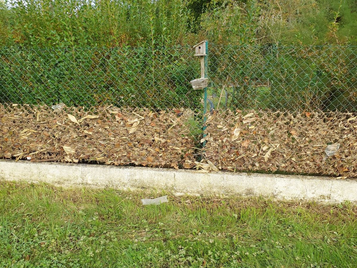 Photo du site – SPC SMYL