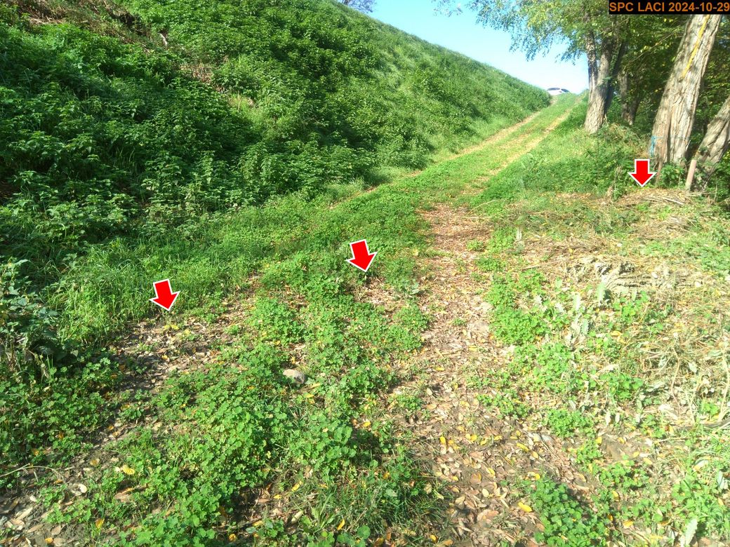 Vue du repère, en 2024