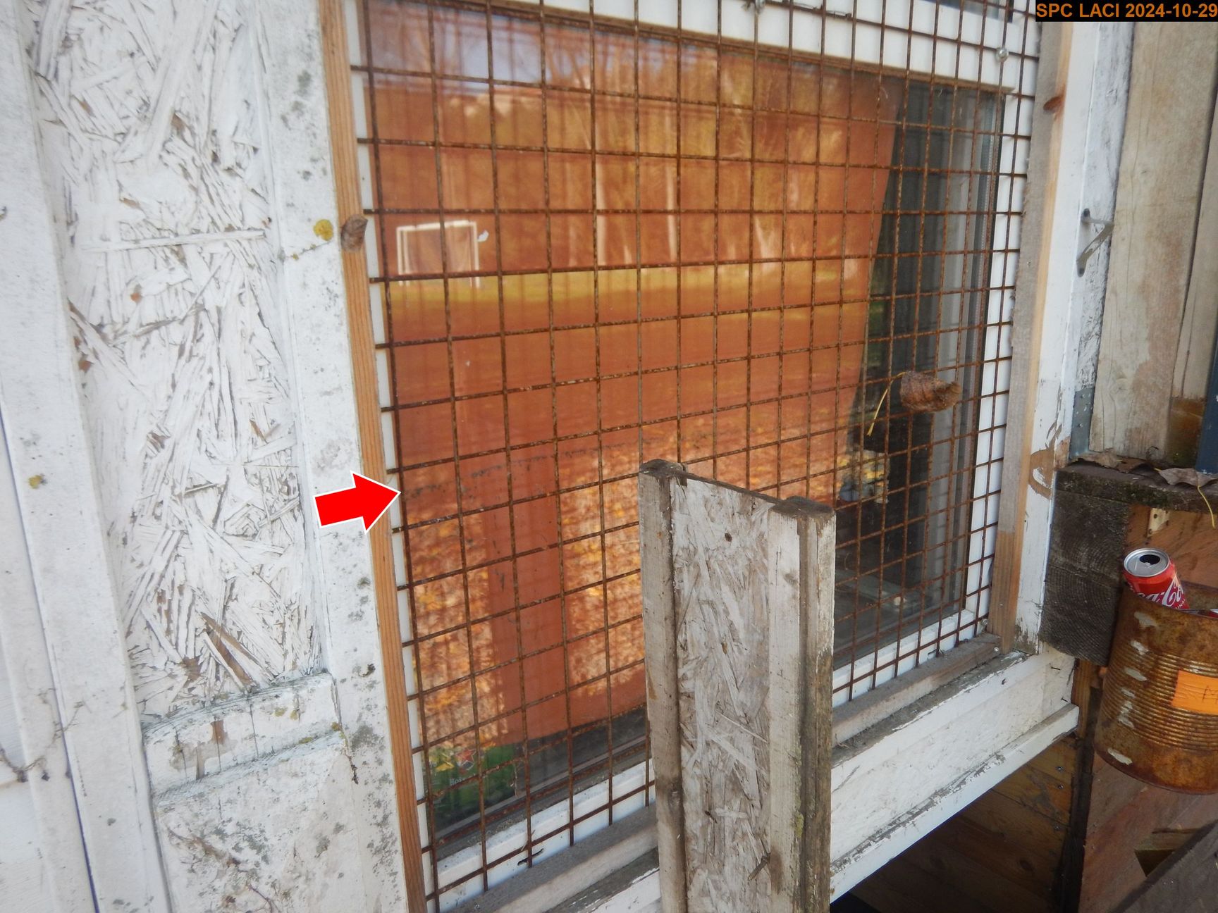 Vue du repère, en 2024. La laisse se trouve derrière la grille, sur la vitre.