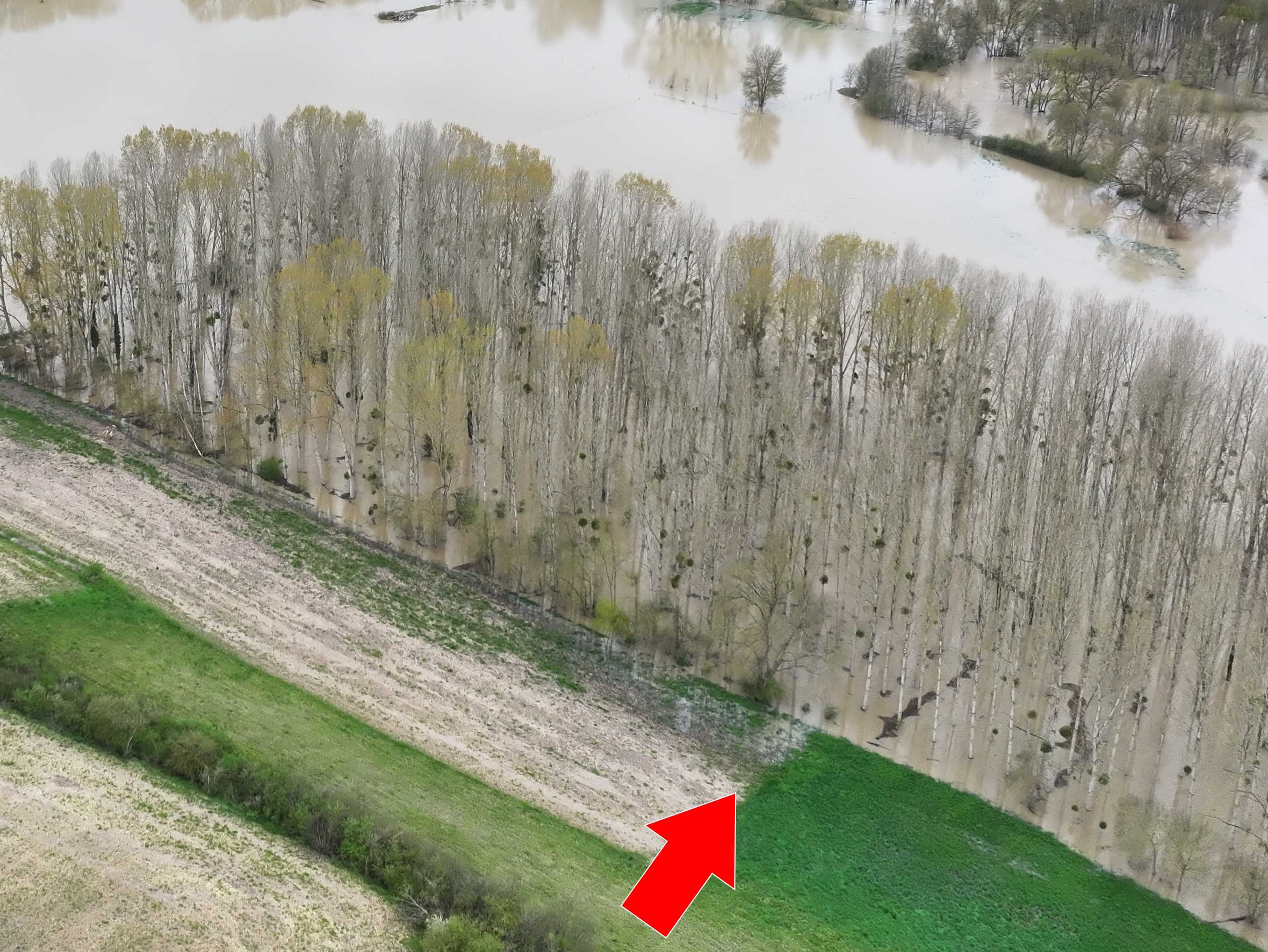 Prise de vue le 31/03/2024 à 11h13 zoomée sur le repère
