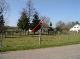 Photo du site
