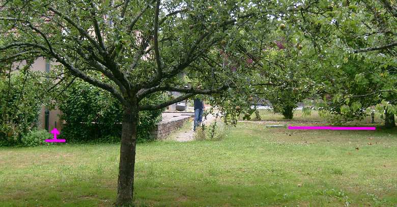 Photo du site