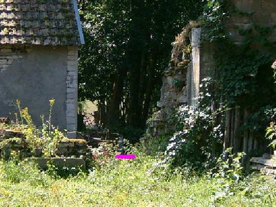 Photo du site