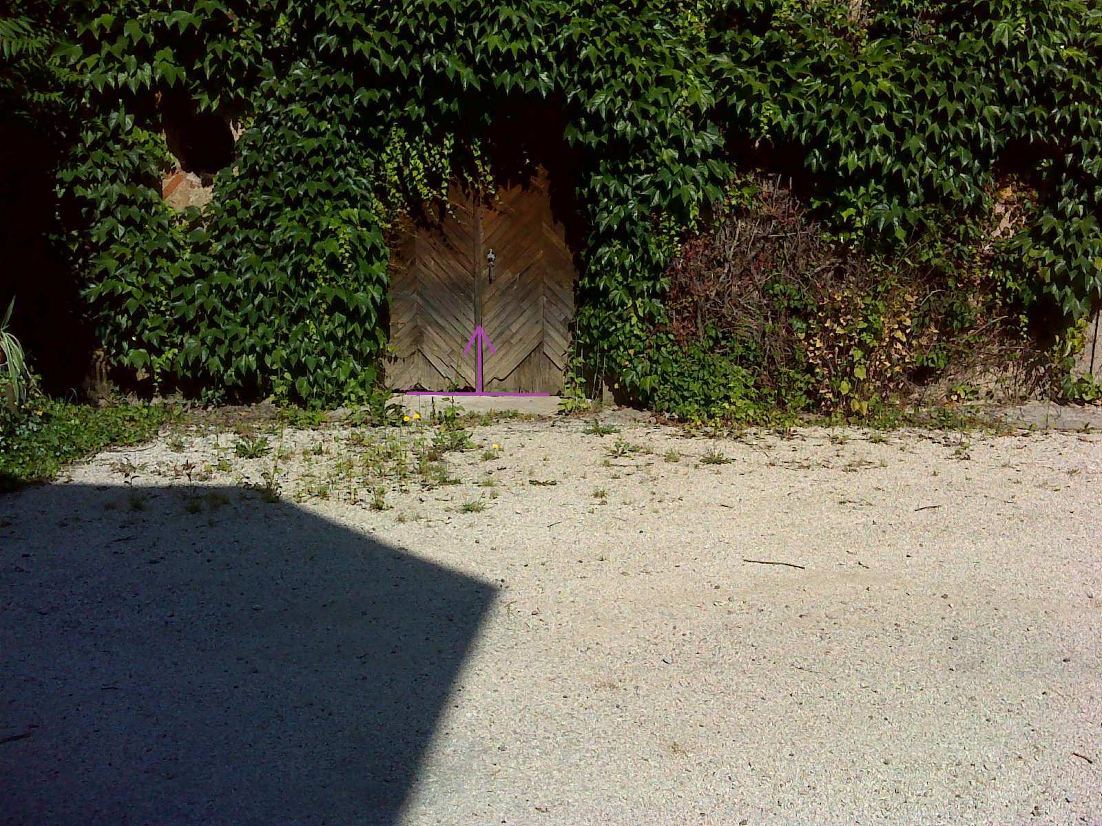 Photo du site