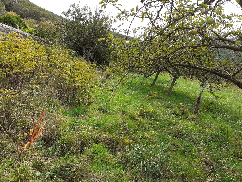 Vue du site, photo OTEIS