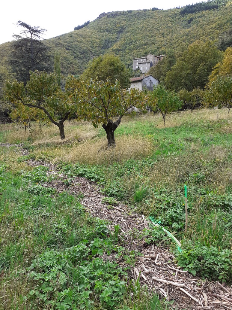 Vue du site, photo OTEIS