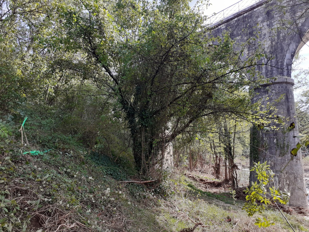 Vue du site, photo OTEIS